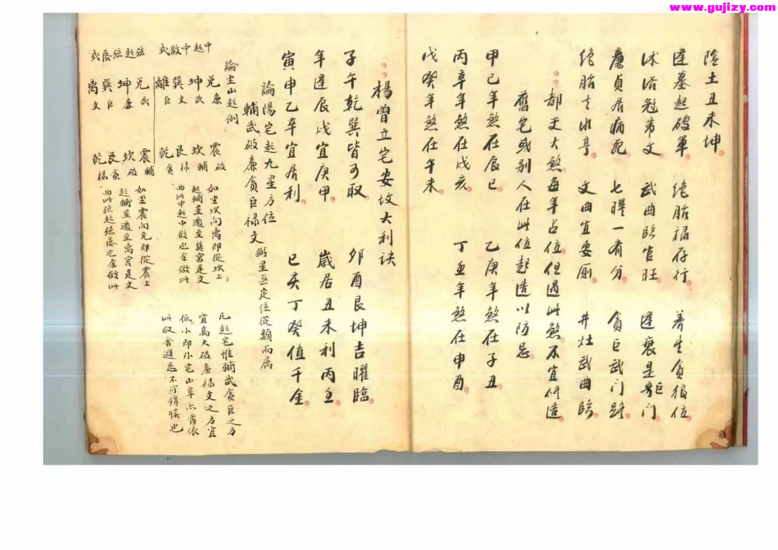 1725299303617.jpg