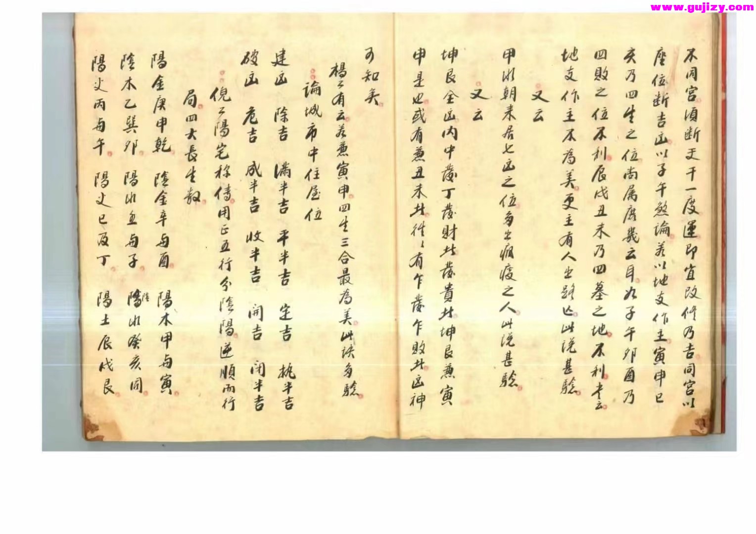 1725299301742.jpg