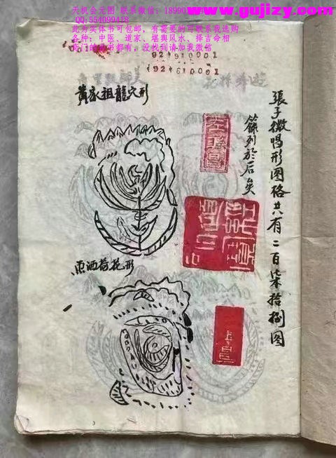1723190845431.jpg