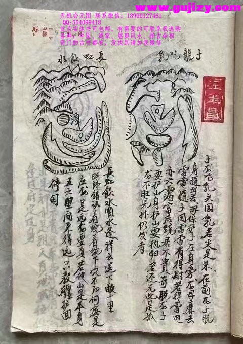1723190848086.jpg