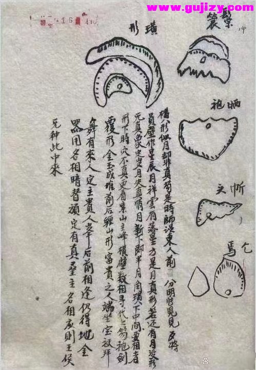 1723190863439.jpg