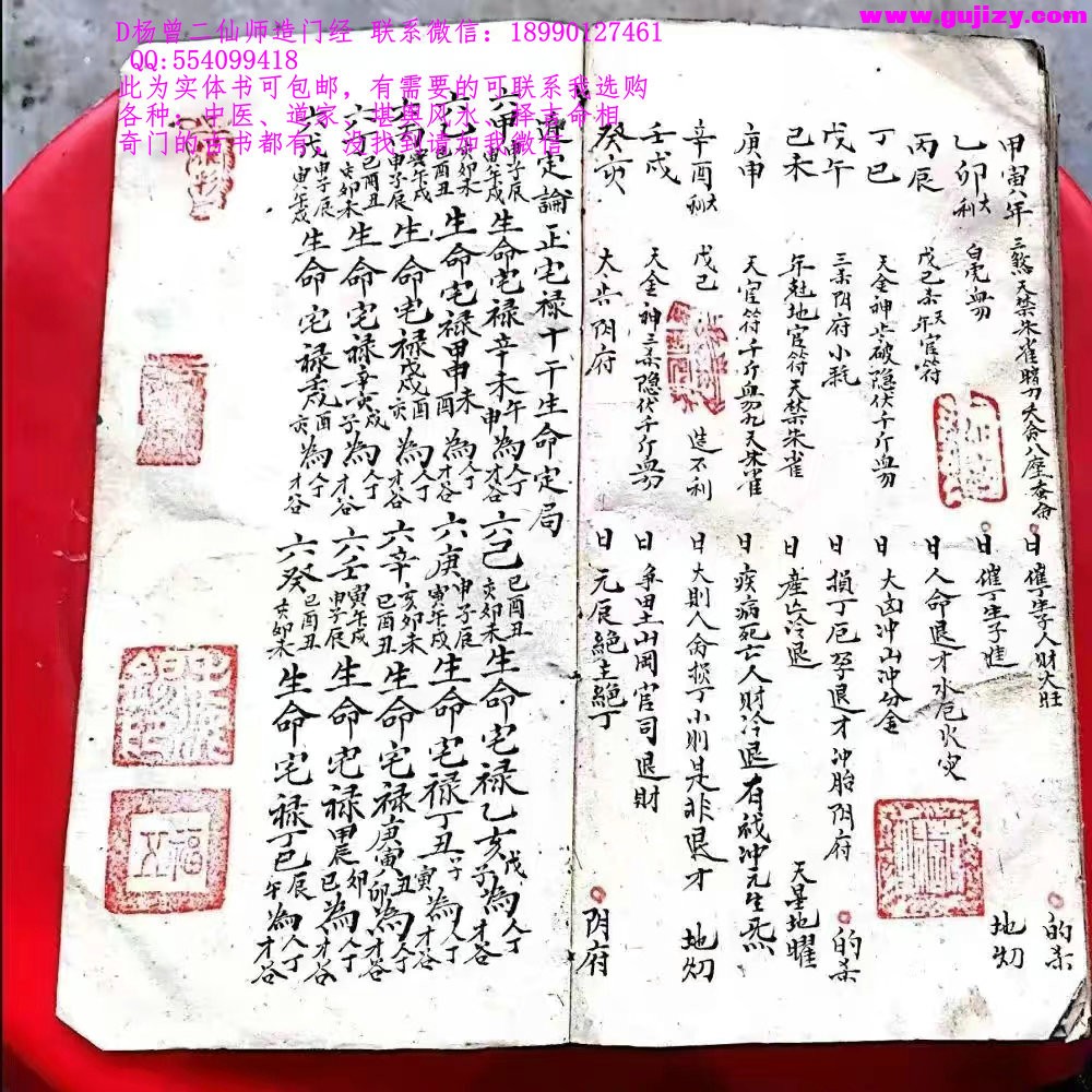 1722273798458.jpg