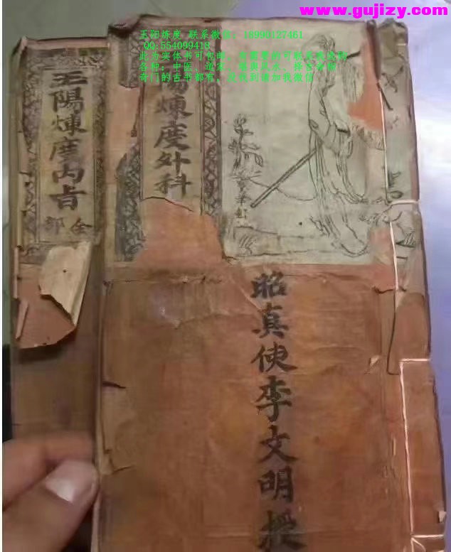 1723911174633.jpg