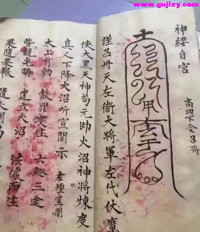 1723911185535.jpg