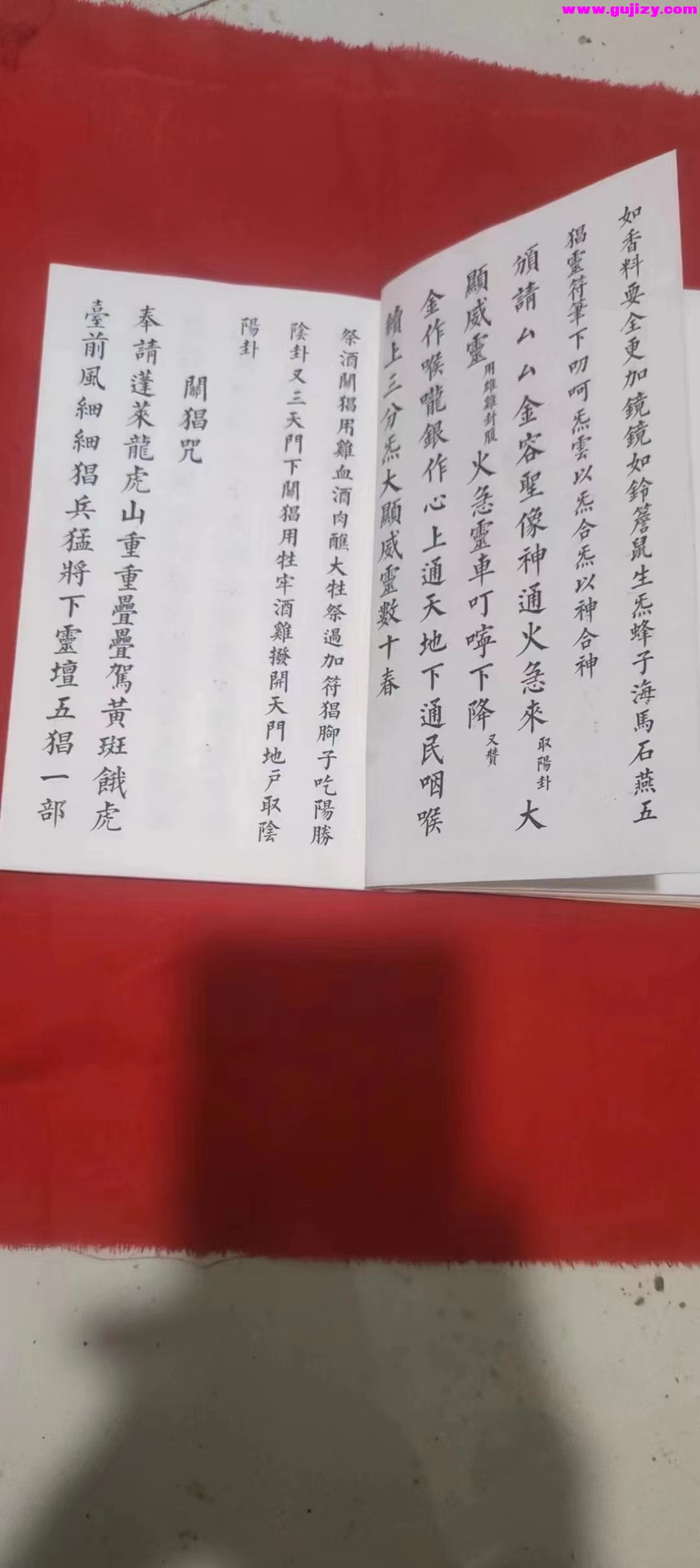 1722140659067.jpg