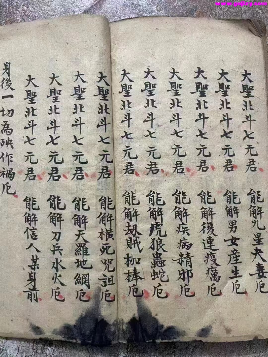 1739178182184.jpg