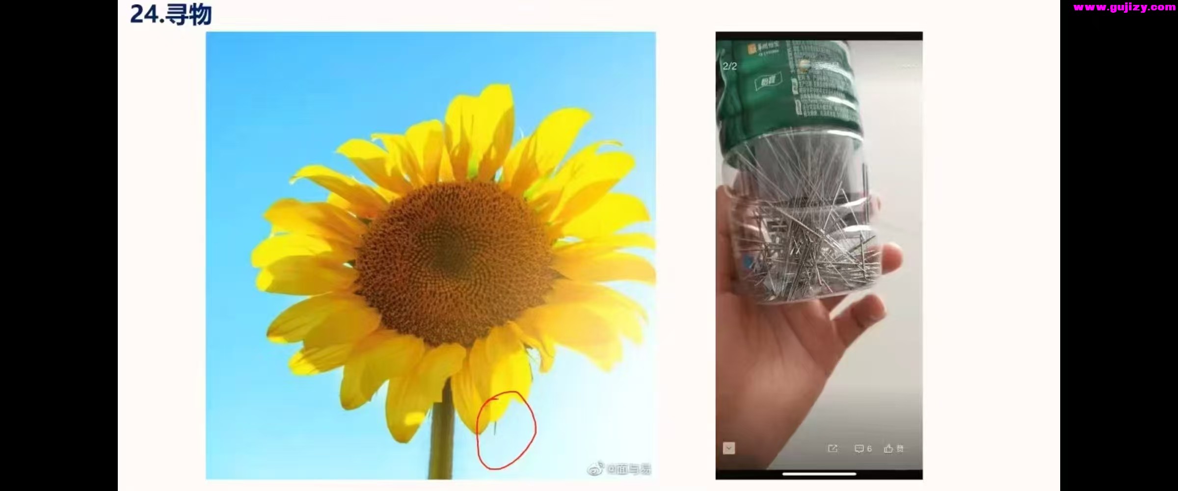 1739633112247.jpg