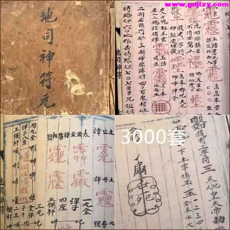 1739693541190.jpg