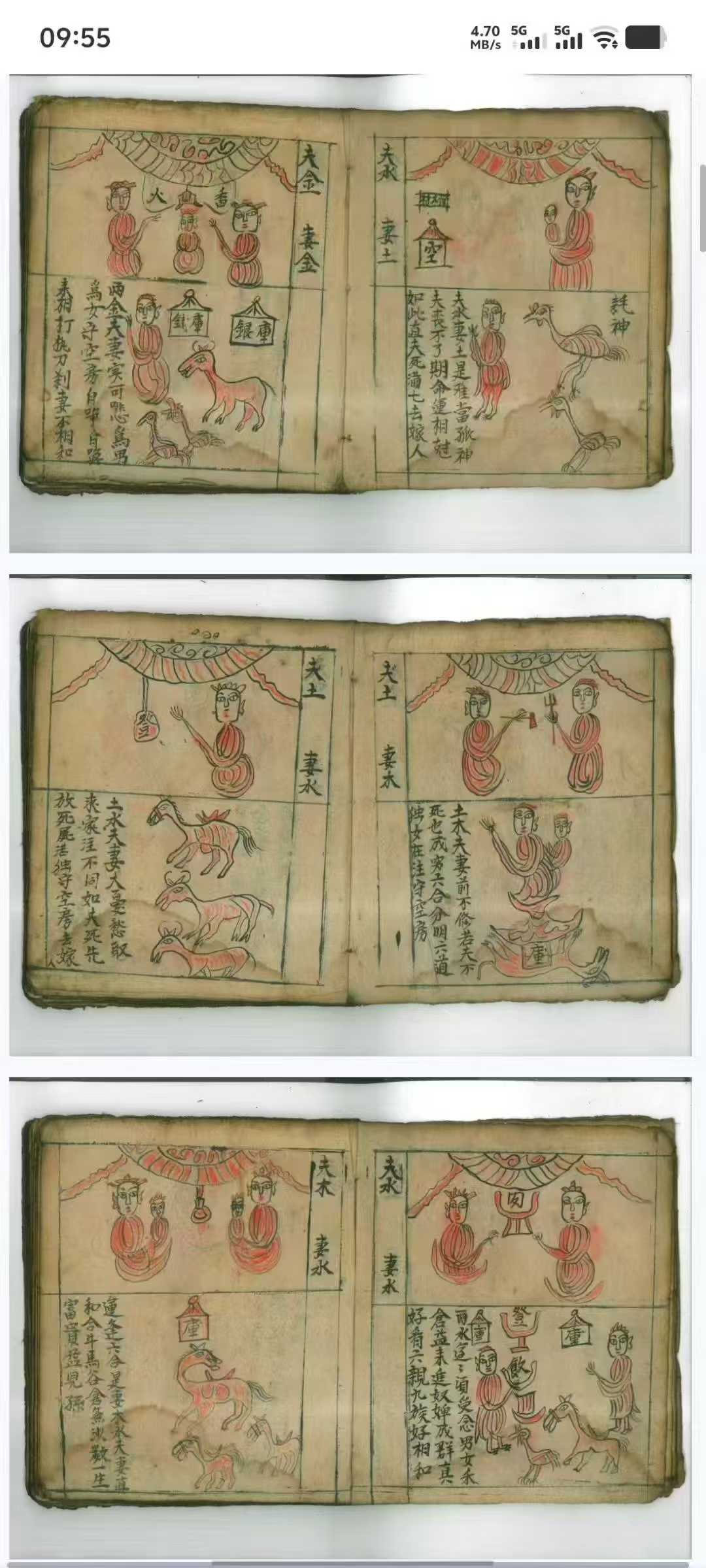 1752418532422.jpg