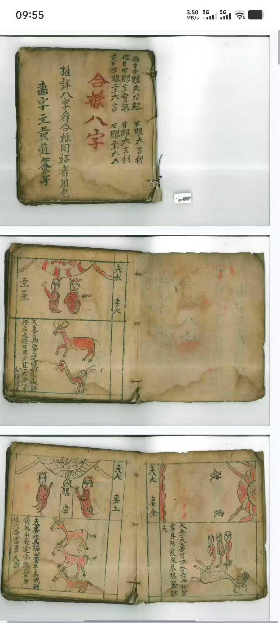 1752418529545.jpg