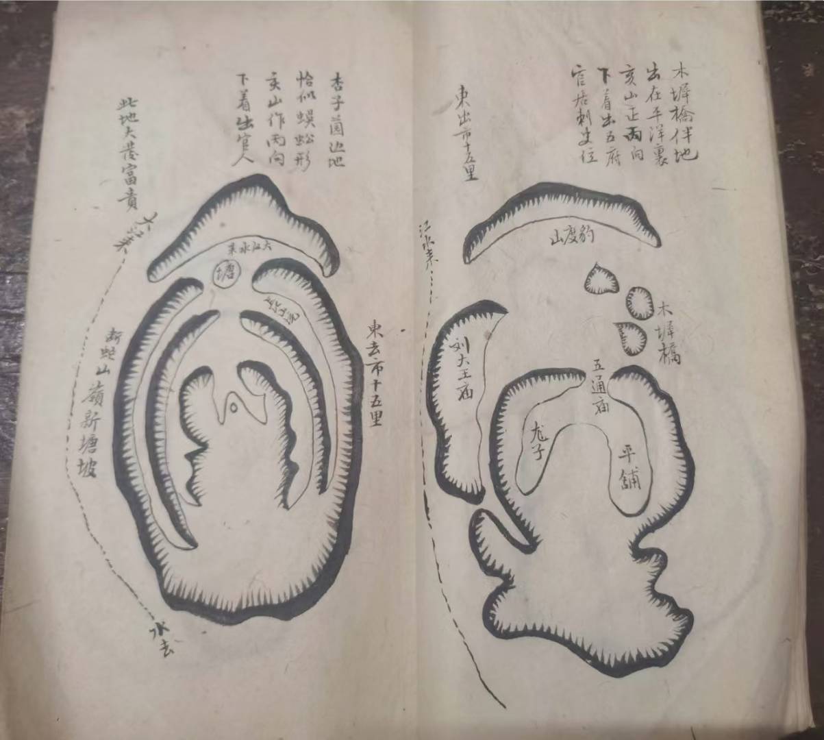 1752501502801.jpg