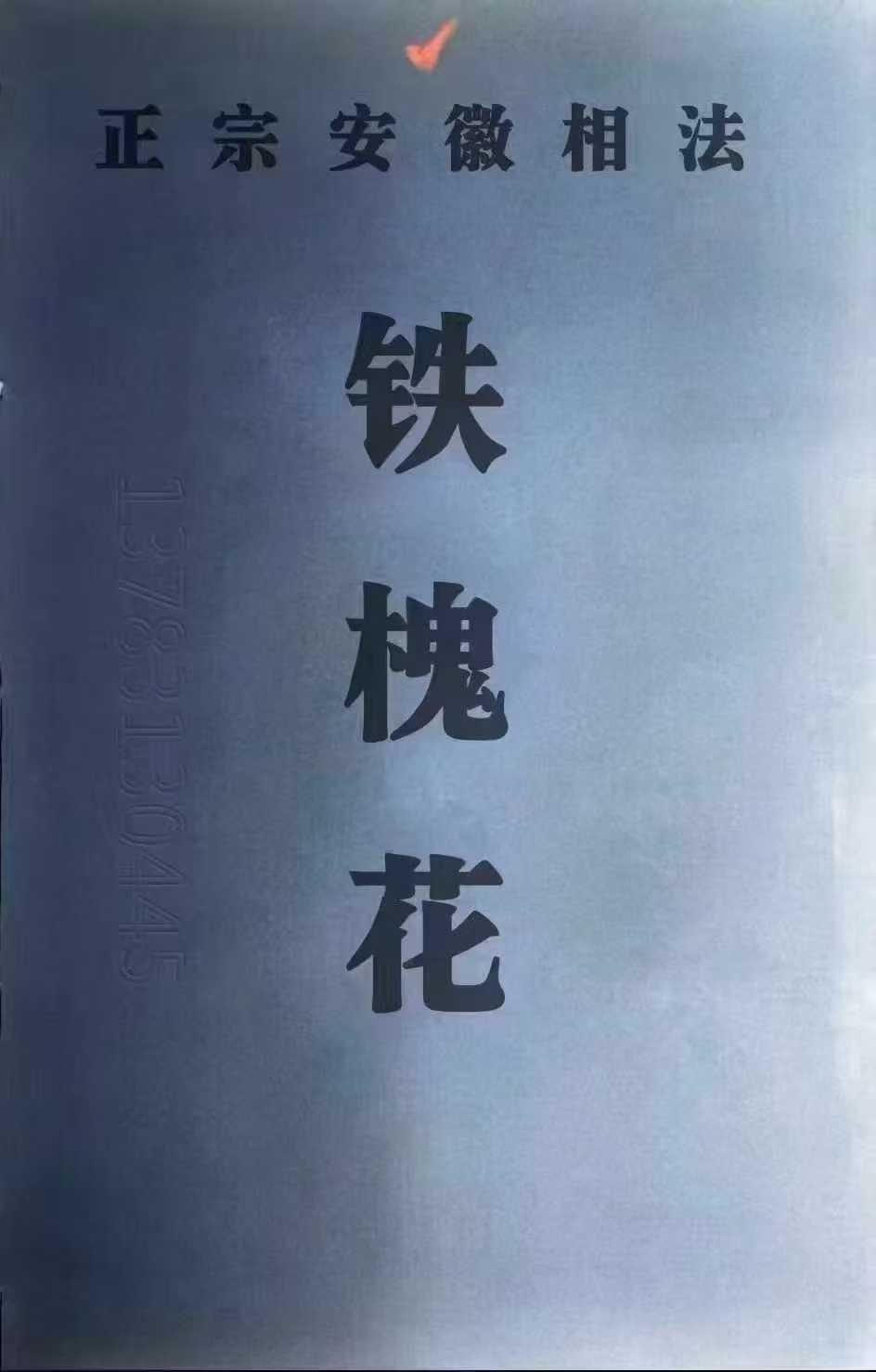 1754622189016.jpg