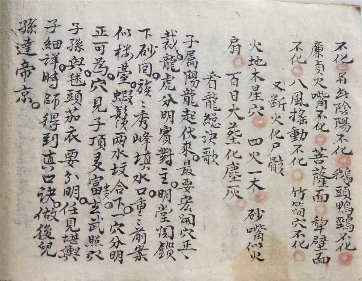 1755080083682.jpg