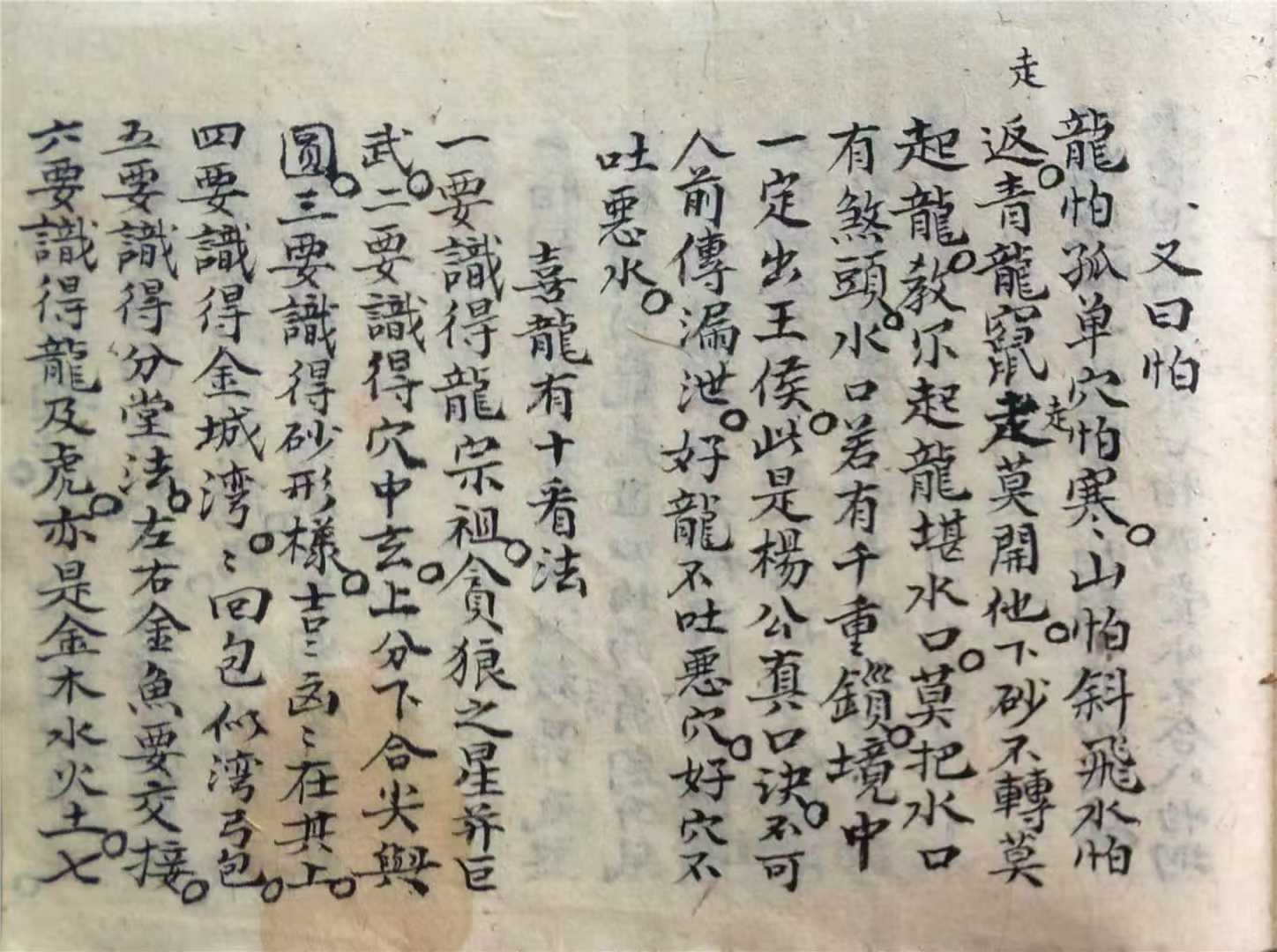 1755080086342.jpg