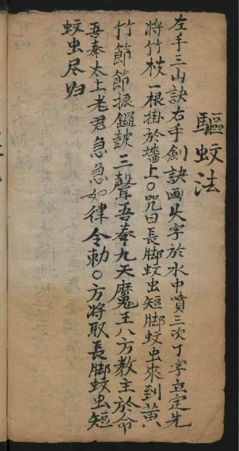 1756040522458.jpg
