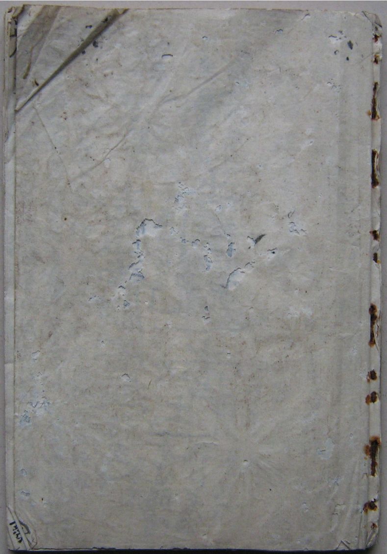1756043401935.jpg
