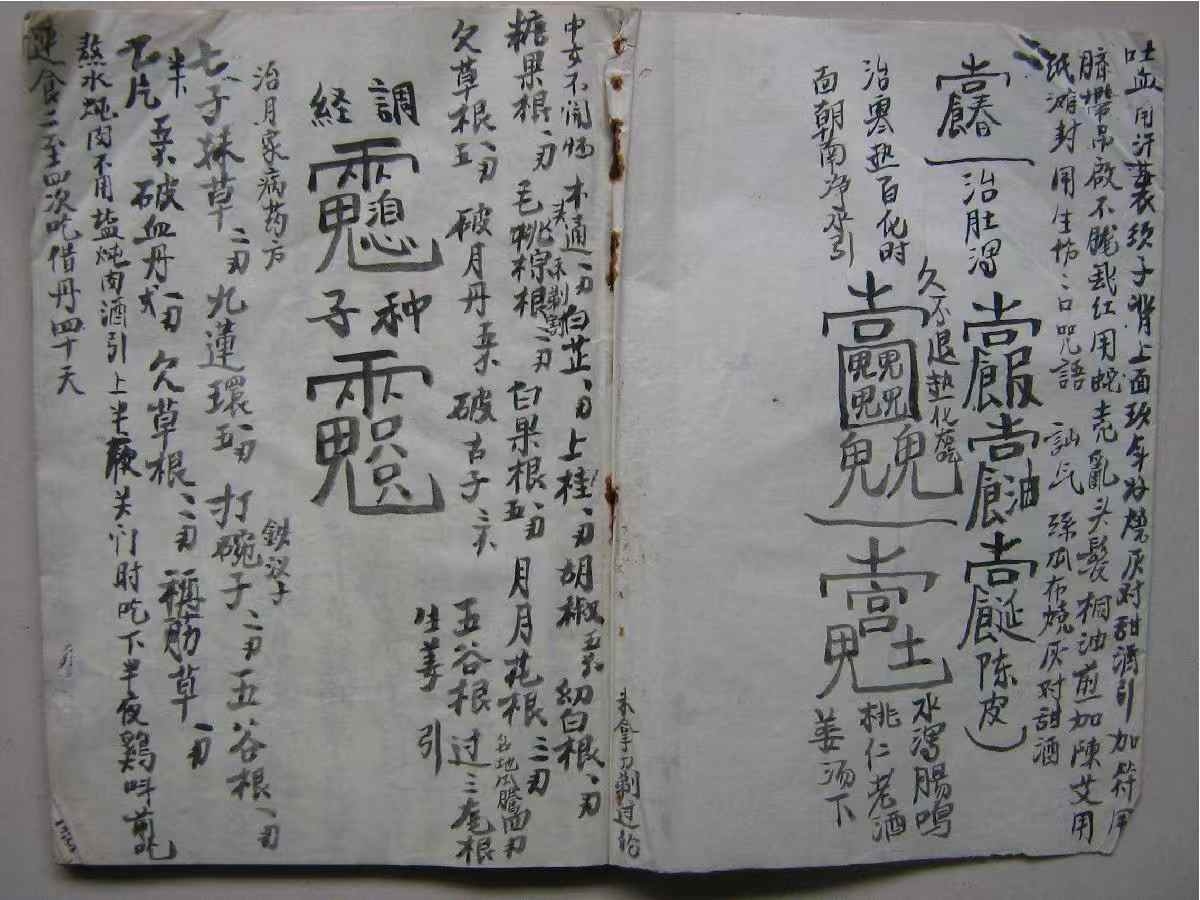1756043404834.jpg