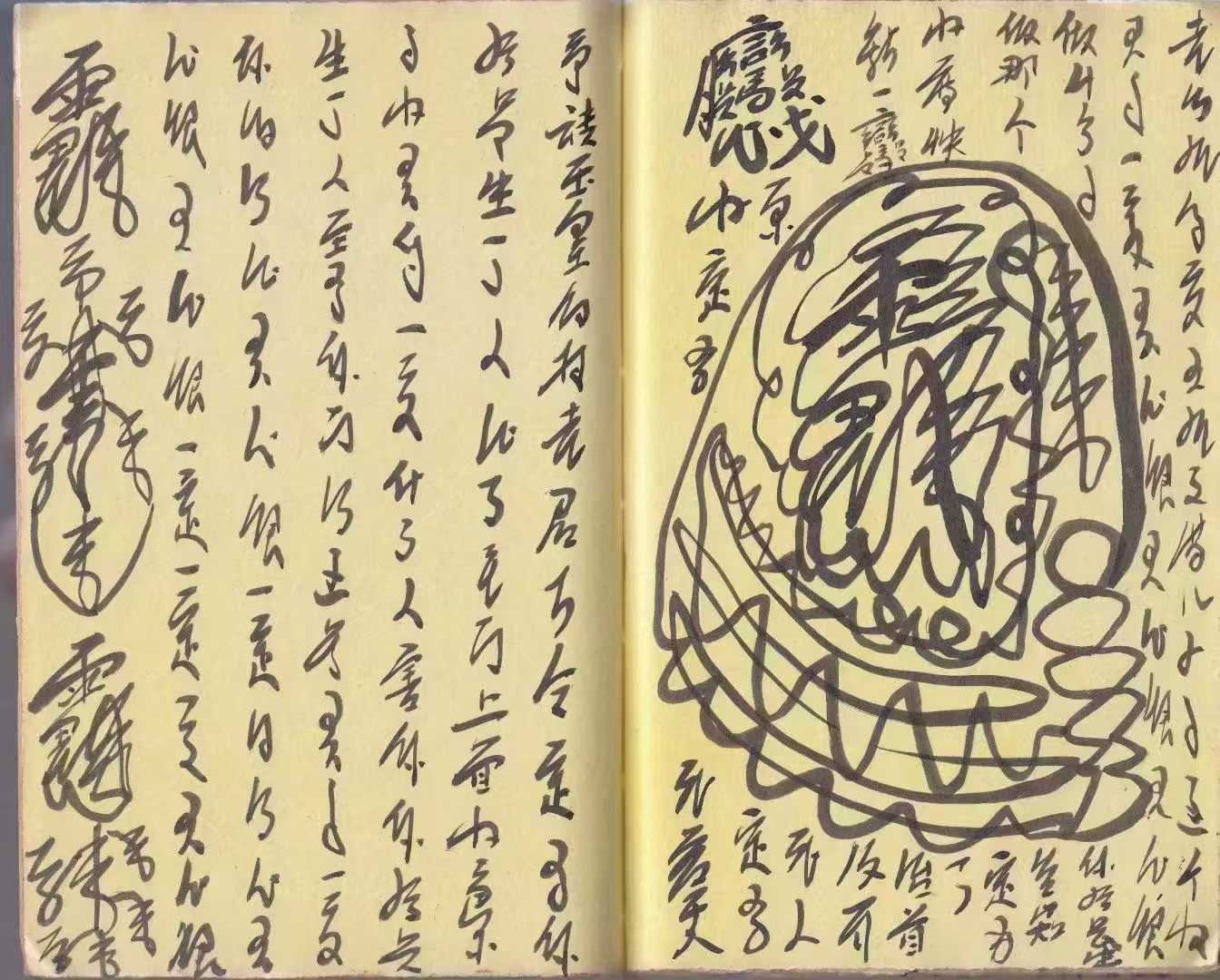 1756052170393.jpg