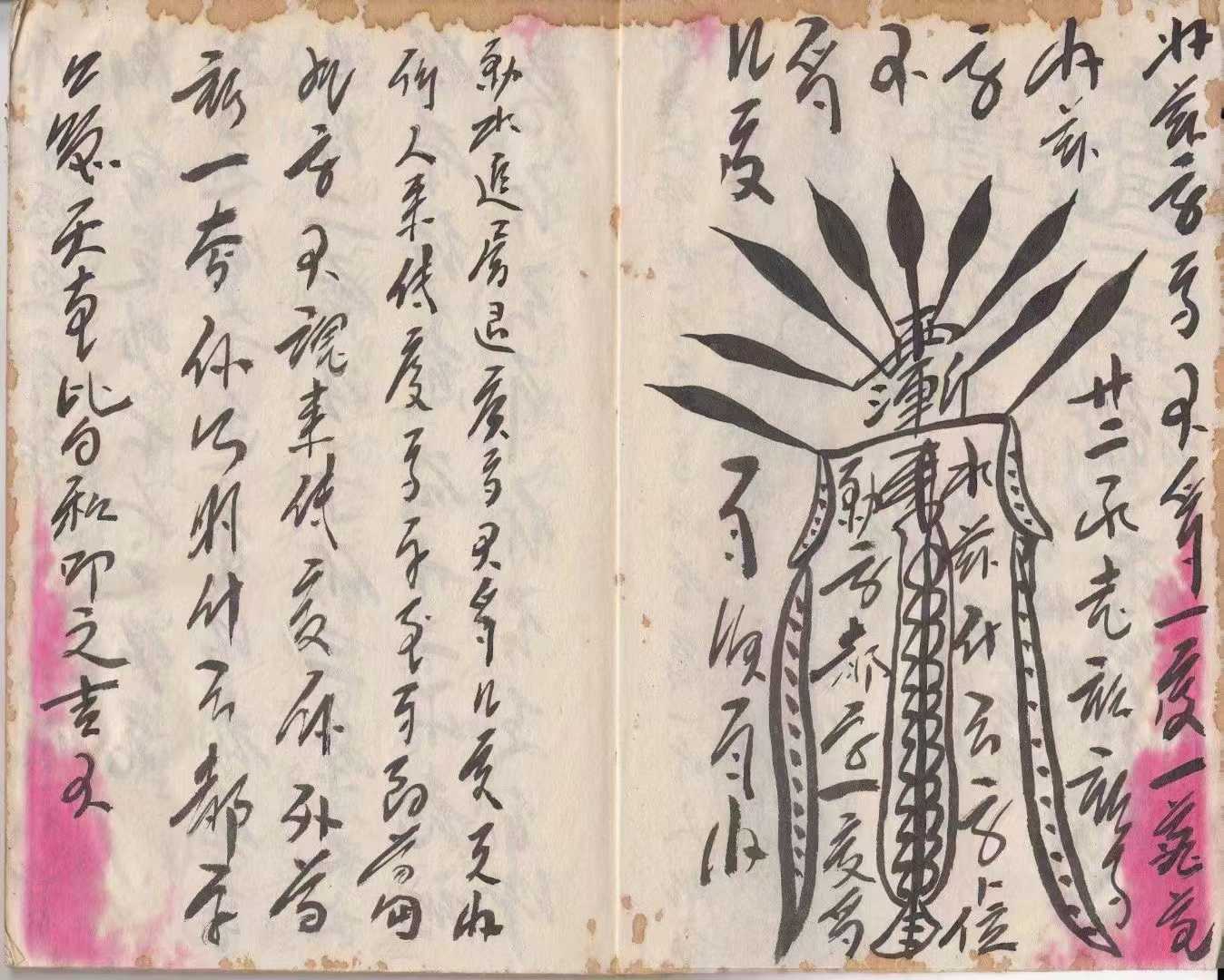 1756052167450.jpg