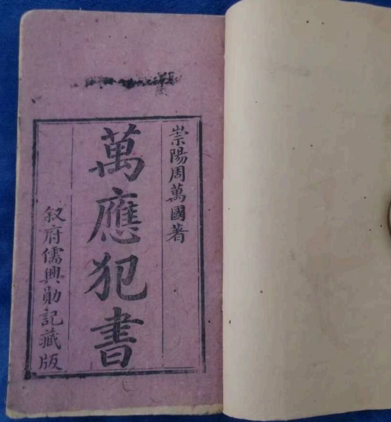 1756130121445.jpg