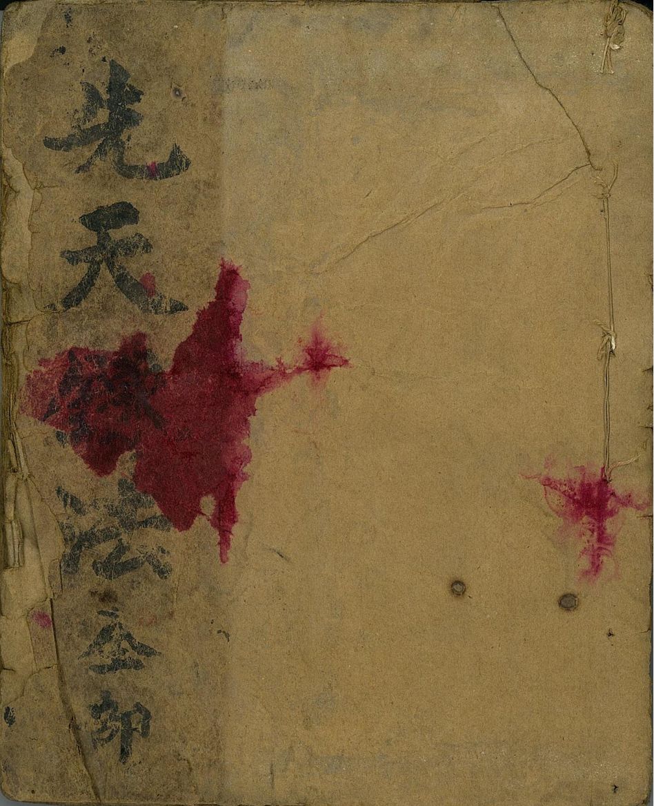1756131825853.jpg