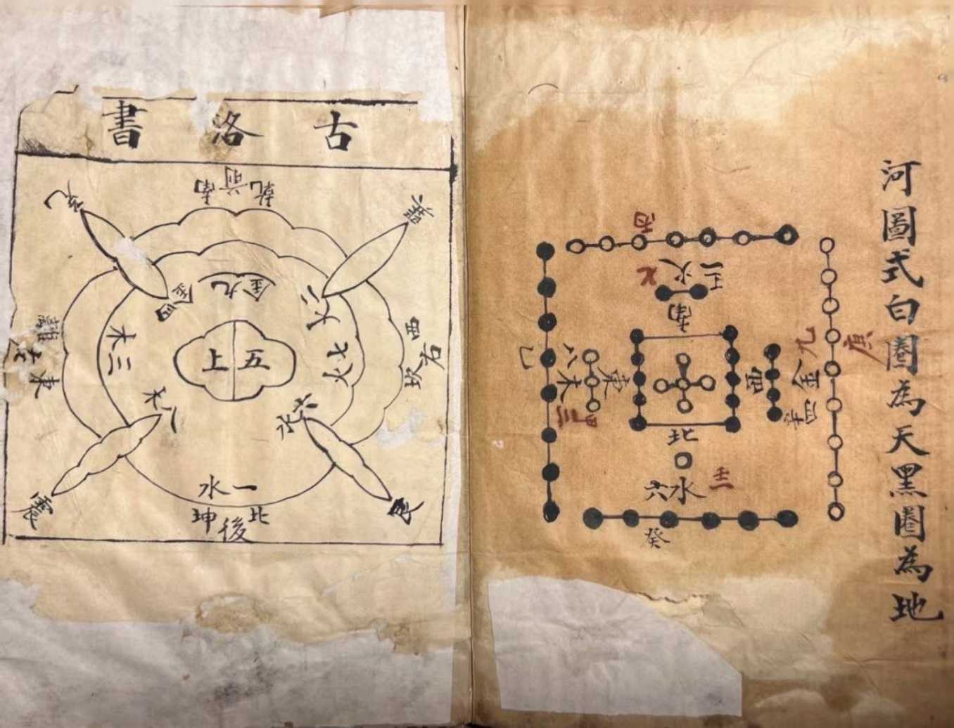 1756309180931.jpg