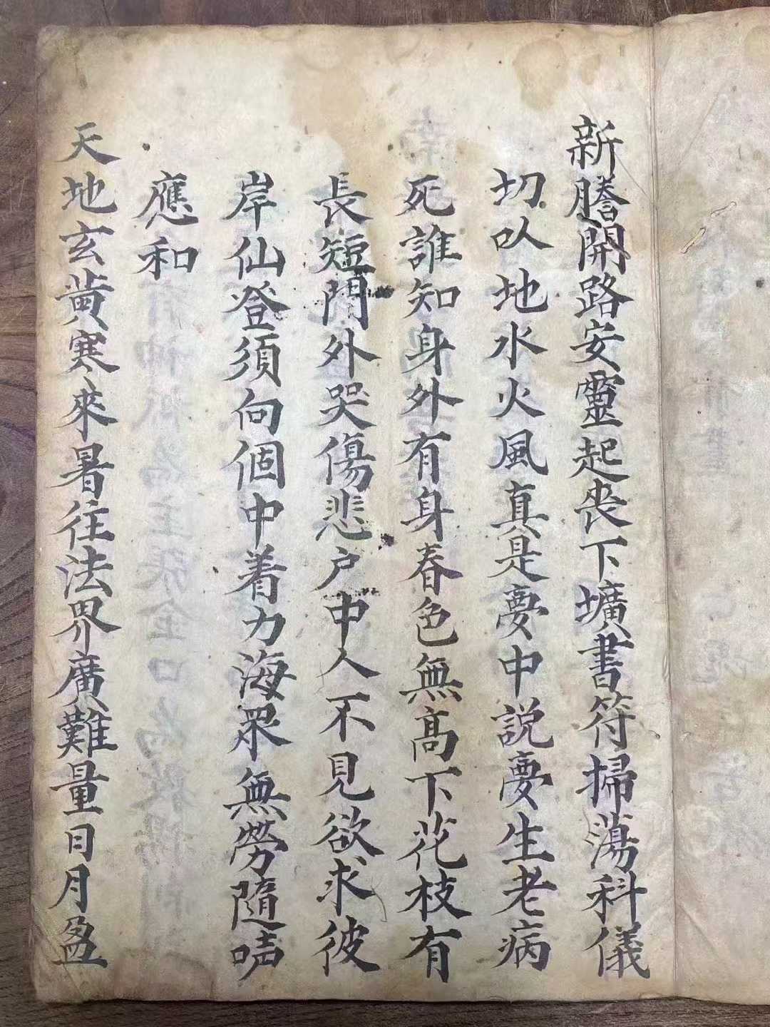 1756391218246.jpg