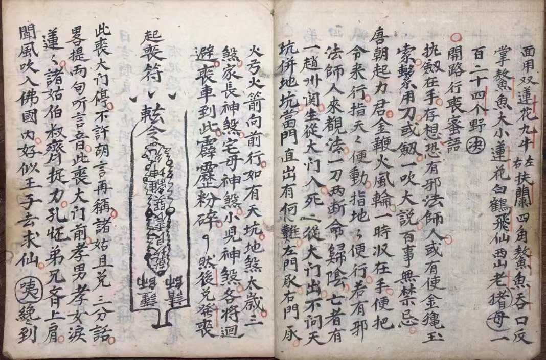 1756556757538.jpg