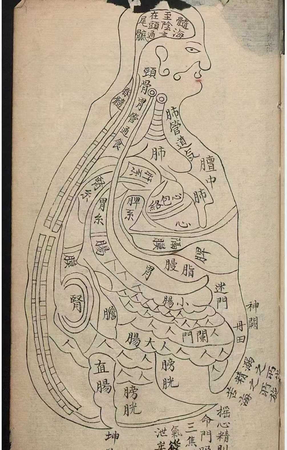 1756557897883.jpg