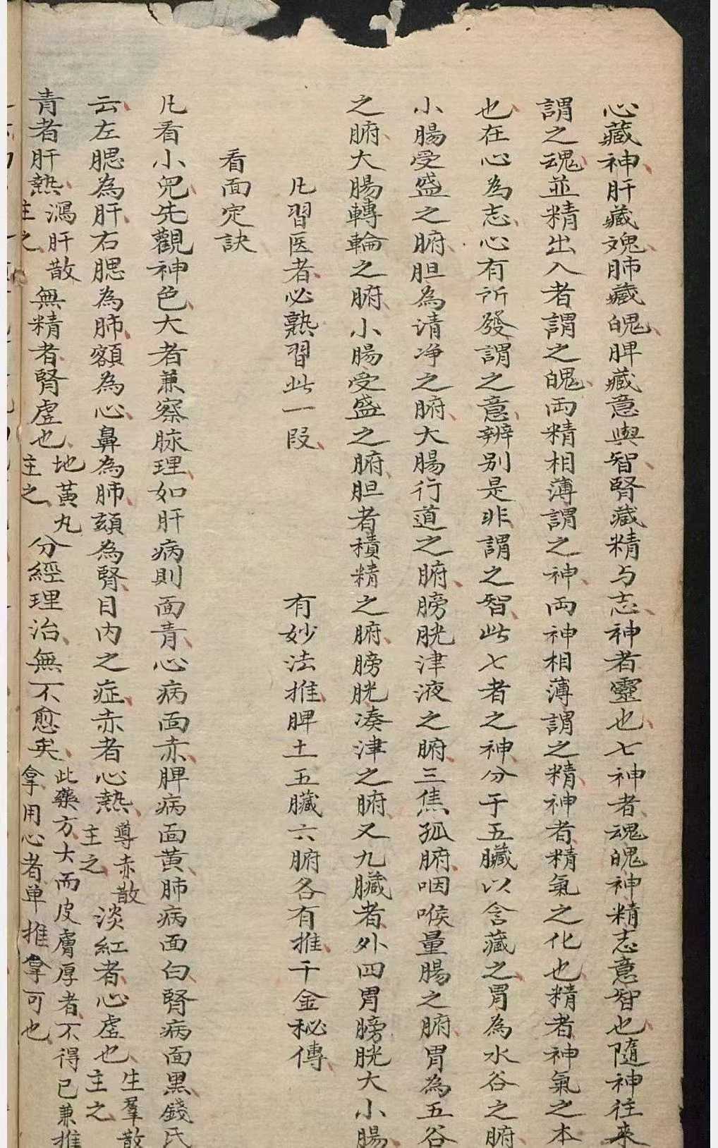 1756557903217.jpg