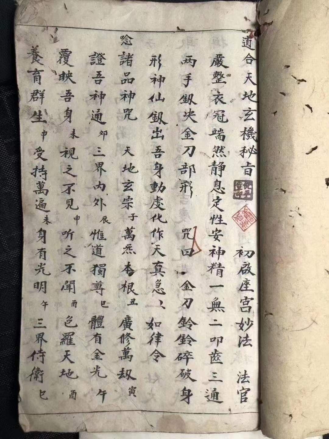 1756778272901.jpg