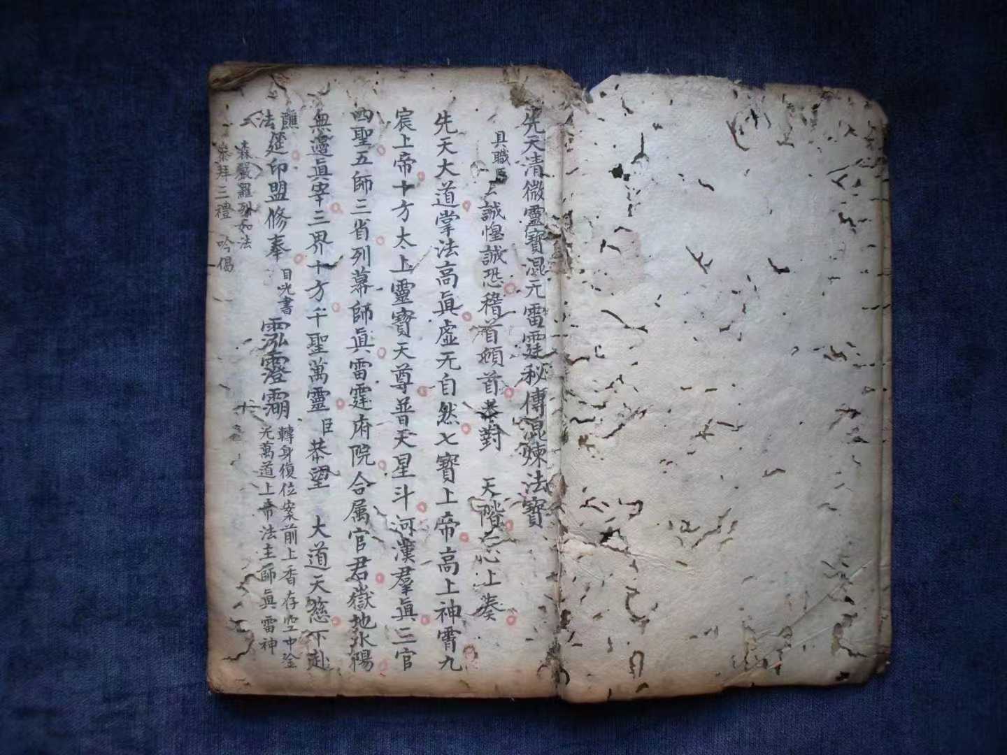 1756781088812.jpg