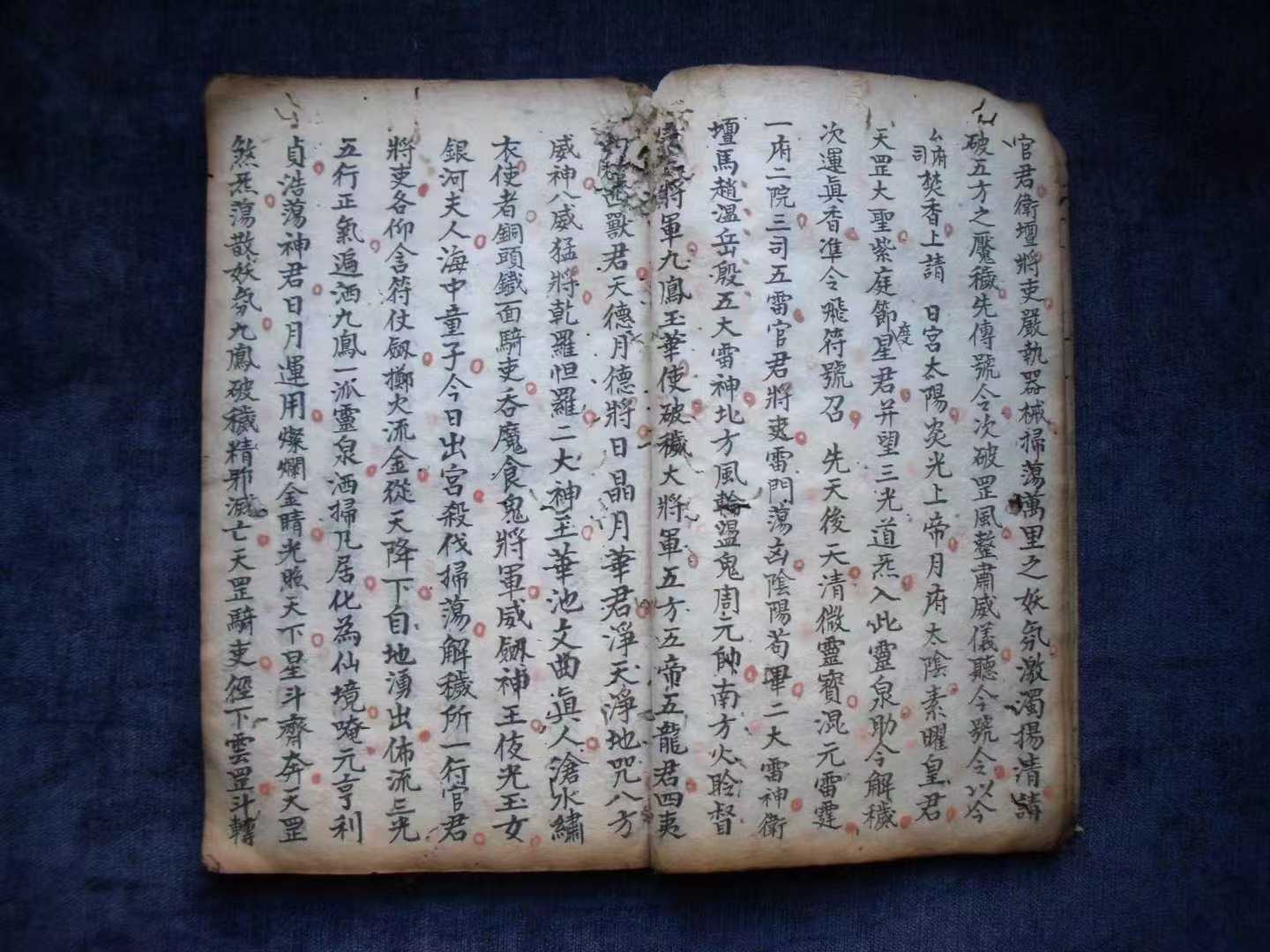 1756781091204.jpg