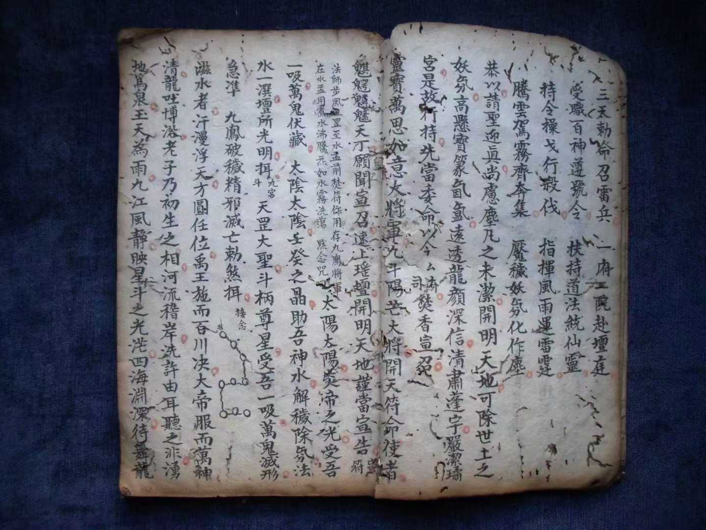 1756781096837.jpg