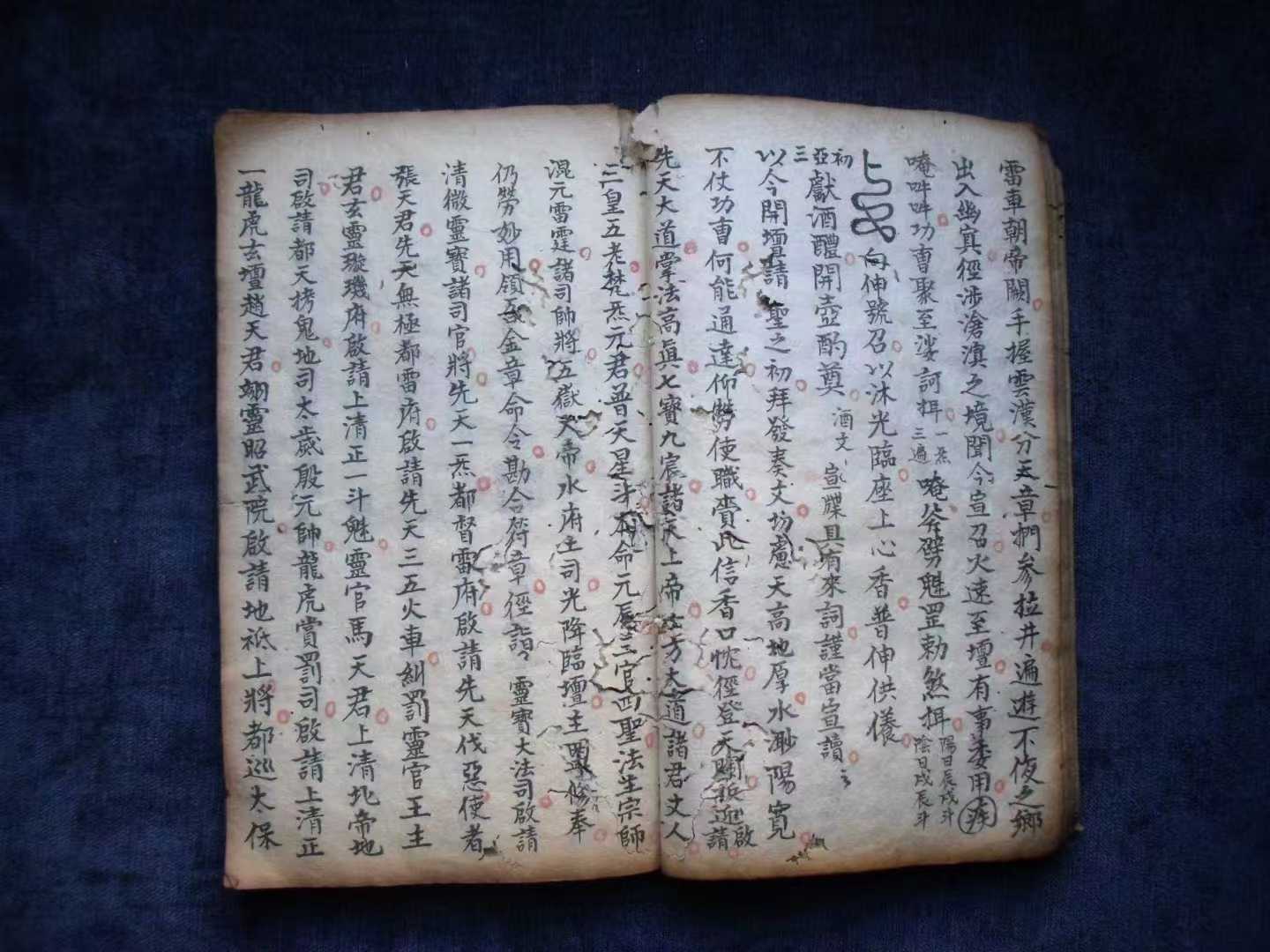 1756781099853.jpg