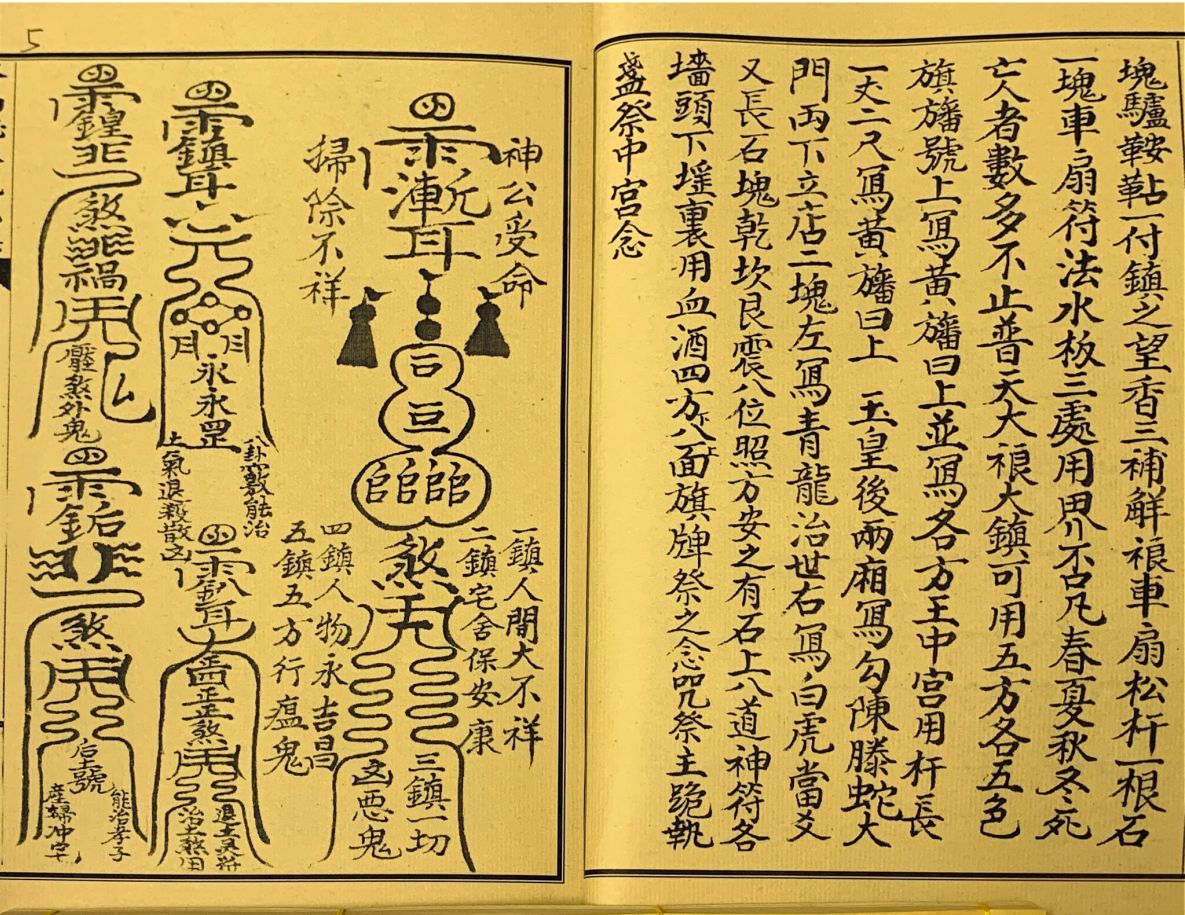 1756820524852.jpg