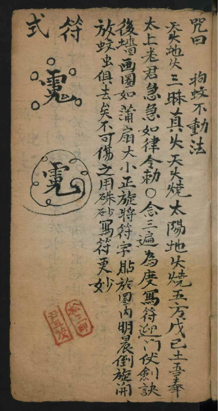 1756917050013.jpg