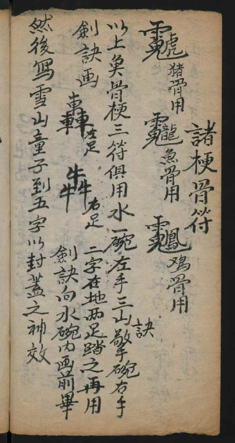 1756917061228.jpg