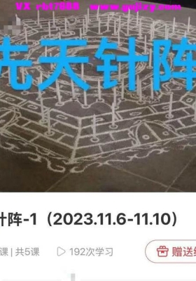 【高维针法】郑琰·先天针阵1-3共15集视频课💰5