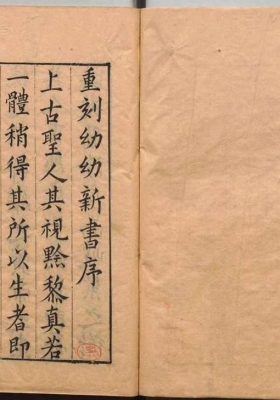 《幼幼新书》宋刘昉 明陈履端 💰5