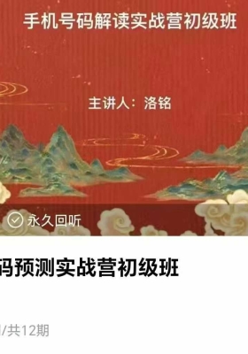 《手机号码预测实战营初级班》12集视频课💰5