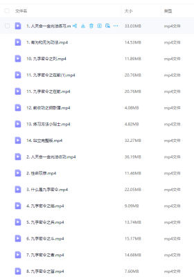 【梁守渝】人天合一金光法及九字密令17集视频💰5