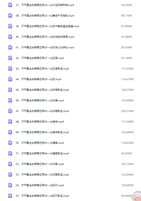 晟峰《子平真诠与格局应用》61集💰5