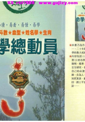 《命学总动员》💰5
