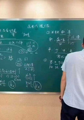 鸿林老师《八极灵数》4套教学视频合集￥5