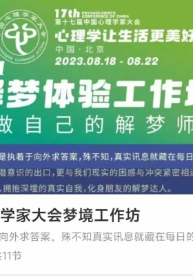 17th心理学家大会梦境工作坊 11集视频课💰5