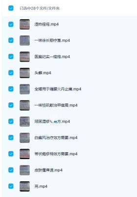 实用28方视频讲解 28集视频课💰5