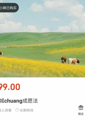 【法】重磅莲华藏🆕召请城隍成愿法法本非视频 💰5