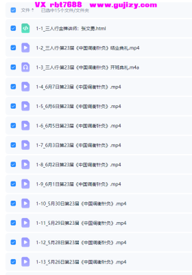 张文勇全网火爆！第23届《中国调衡针灸》13讲视频💰5