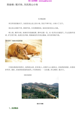 《2020年陈益峰风水案例》3册合集💰6